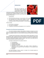 LOS ERITROCITOS.pdf
