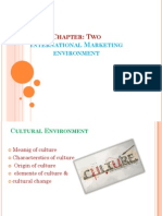 Cultural Evironment - pptvvv.ppt2