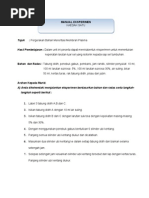 WORKSHEET 7.1 the Respiratory Structures and Breathing 