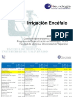 Irrigacion Encefalo (2.0).pdf