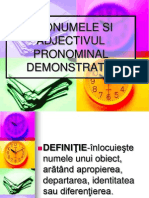 Pronumele Si Adjectivul Pronominal Demonstrativ