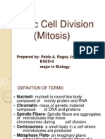 Mitotic Cell Division (Mitosis) : Prepared By: Pablo A. Ragay Jr. Bsed-Ii Major in Biology