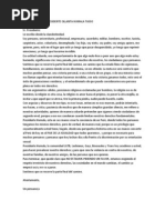 Carta Abierta Al Presidente Ollanta Humala Tasso