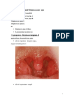 Streptococcus Pyogenes