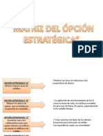 Matriz de Opción Estratégica Adm Presupuestaria Terminado (1)