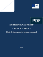 Ghid Entrepreneurship