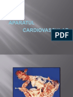 Aparatul Cardio-Vascular