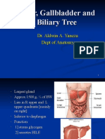 LIVER,GB, Biliary Tree