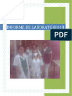 informe de laboratorio iii