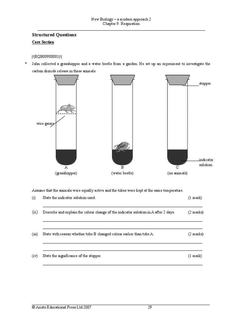 Chapter 09 Question Cellular Respiration Yeast