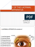 Anatomy of The Lacrimal Apparatus