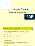 08 Organizational Culture