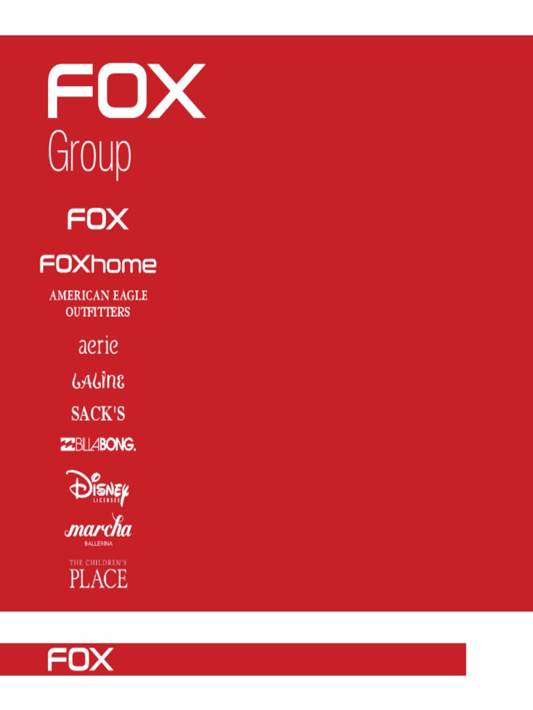 FOX Group: Leading Retailer in Israel | PDF | Retail | Logistics