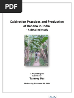 Download Project Report on Banana by api-26956361 SN23124754 doc pdf