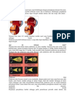 Glaukoma Adalah Penyakit Saraf Mata Yang Berhubungan Dengan Peningkatan Tekanan Bola Mata
