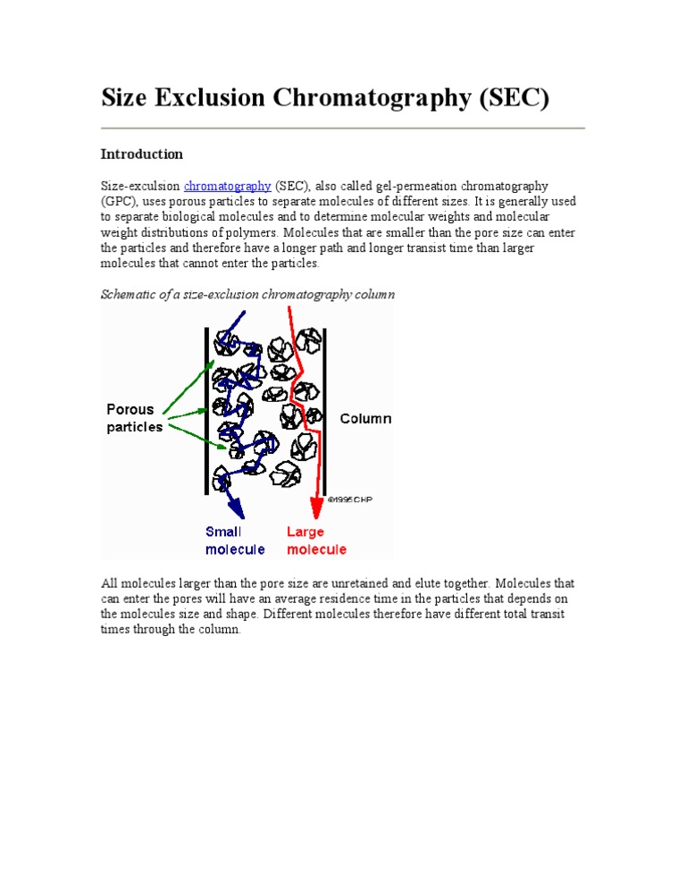 Size Exclusion Chromatography Overview | PDF