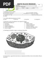 Diagnostica 8ª Serrie_2014