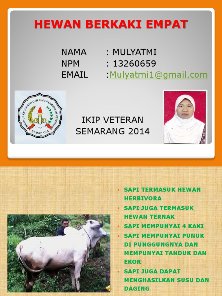 4300 Koleksi Gambar Hewan Berkaki Empat Dan Namanya Gratis Terbaik