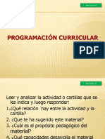 Programación Curricular Institucional