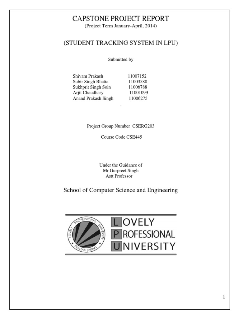 Capstone project final report image