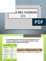 Ciclo Del Oxigeno