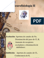 Neurofisiologia claseII