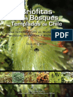 Briofitas de Los Bosques Templados de Chile