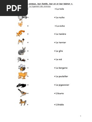 Vocabulaire