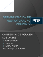 Deshidrataciondelgasporadsorcion 100823112815 Phpapp01