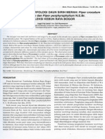 Karakteristik Morfologi Daun Sirih Merah Piper Crocatum Ruitz