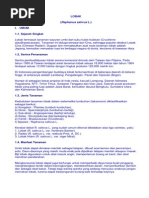 Download LOBAK by Agus Arianto SN231362591 doc pdf