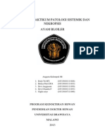 Laporan Praktikum Patologi Sistemik Dan Nekropsis