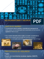 Neuroanatomía y Neurofisiología Del Sueño