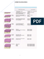 Epithelial Tissue