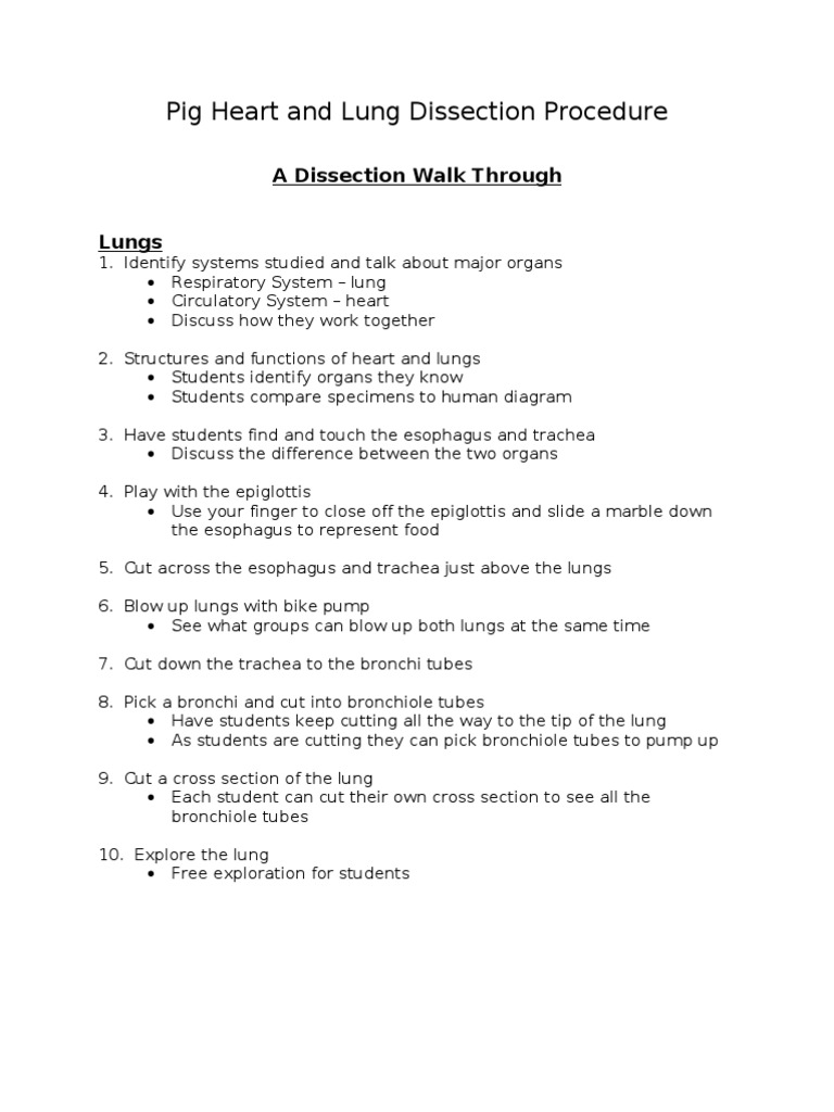 Pig Heart and Lung Dissection Procedure PDF Lung Heart