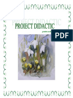 Proiect Didactic - Zvon de Primavara