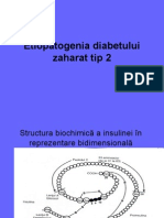 Etiopatogenia Diabetului Zaharat Tip2