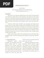 Download Artikel Mitokondria Pada Hewan by Desfaur Natalia SN231413440 doc pdf