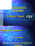 Fisiologia Da Digestão