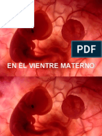 En El Vientre Materno: Desarrollo Embrionario