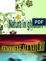 Fenomene Ale Naturii - Ghicitori, Imagini