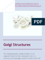 Golgi Structures