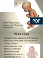 espinabifida-100503174702-phpapp01