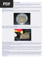 Cultivando Cactos GUIA COMPLETO