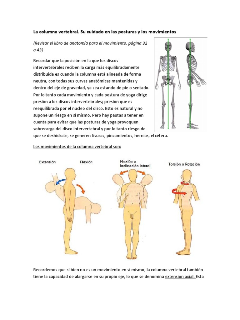 Columna Vertebral. Cuidado y Prevención de Lesiones. | PDF | La columna ...