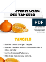 Caracterización Tangelo