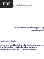 Cytoskeletal Network