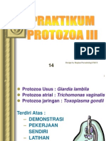 Praktikum Proto3