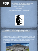 Percepcion, Distancia y Profundidad