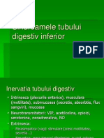 19.sindroamele Tubului Digestiv Inferior I